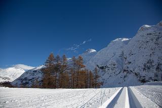 Ski de Fond #0246